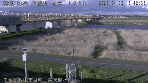 tonme2026040217_image