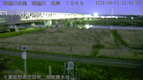 tonme2026040223_image