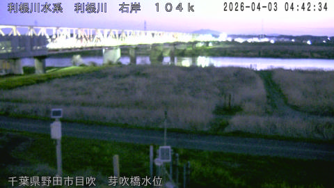 tonme2026040305_image