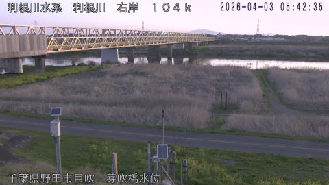 tonme2026040306_image