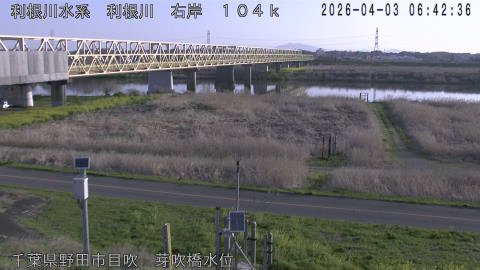 tonme2026040307_image