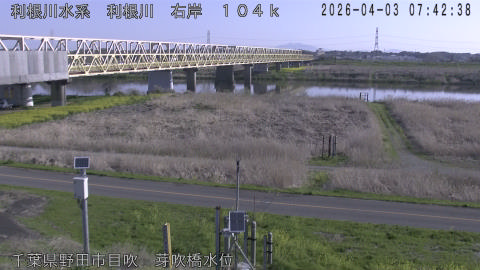 tonme2026040308_image