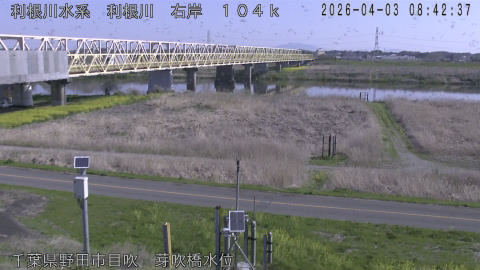 tonme2026040309_image