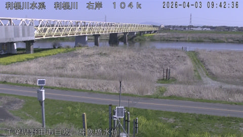 tonme2026040310_image