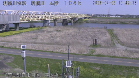 tonme2026040311_image