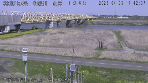 tonme2026040312_image