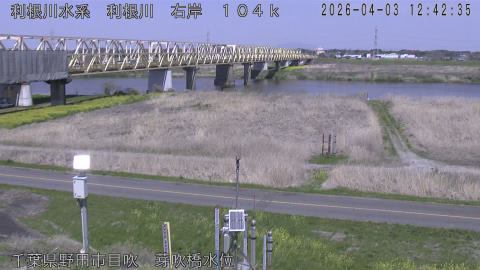 tonme2026040313_image