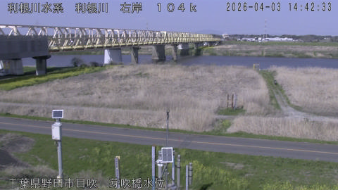 tonme2026040315_image