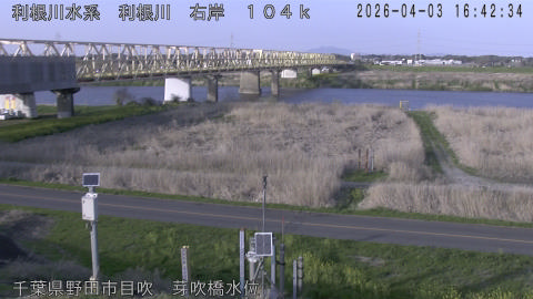 tonme2026040317_image