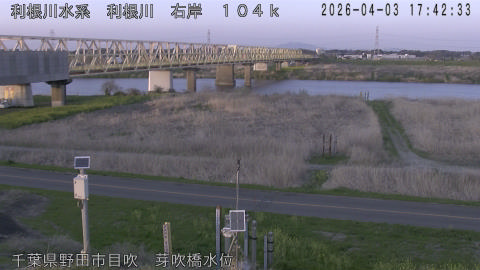 tonme2026040318_image