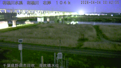 tonme2026040401_image