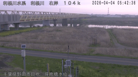 tonme2026040406_image