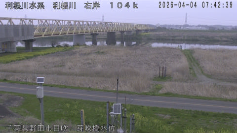 tonme2026040408_image