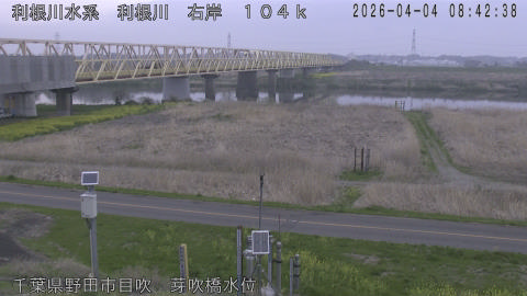 tonme2026040409_image