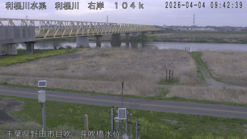 tonme2026040410_image