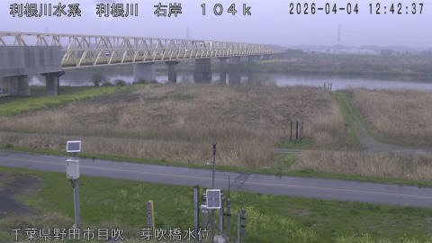 tonme2026040413_image