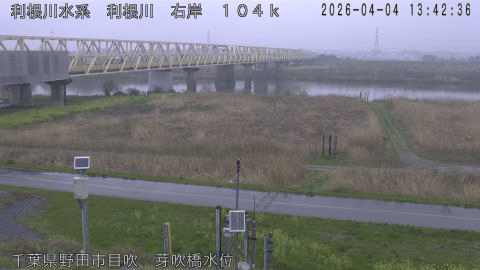 tonme2026040414_image