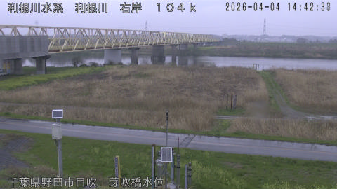 tonme2026040415_image