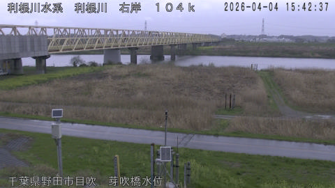 tonme2026040416_image