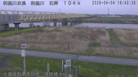 tonme2026040417_image