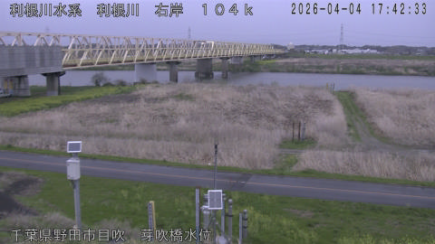 tonme2026040418_image