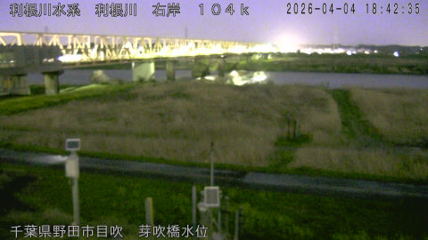 tonme2026040419_image