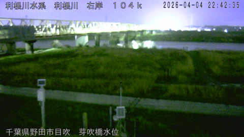 tonme2026040423_image