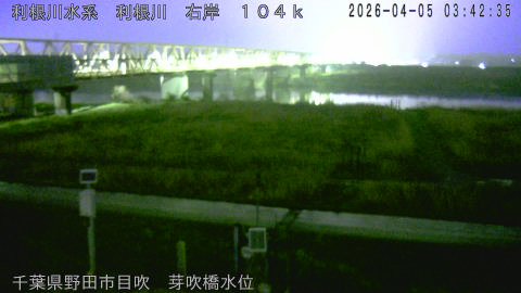 tonme2026040504_image