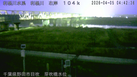 tonme2026040505_image