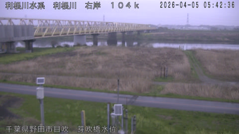 tonme2026040506_image