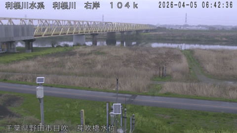 tonme2026040507_image