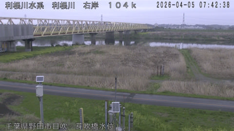 tonme2026040508_image