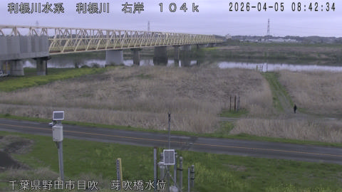 tonme2026040509_image