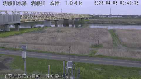 tonme2026040510_image