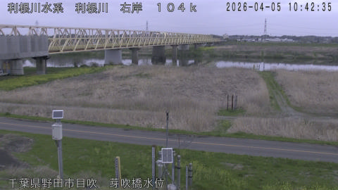 tonme2026040511_image