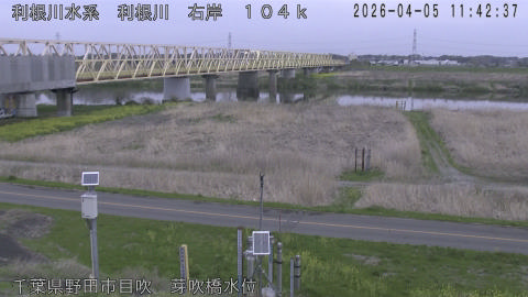 tonme2026040512_image