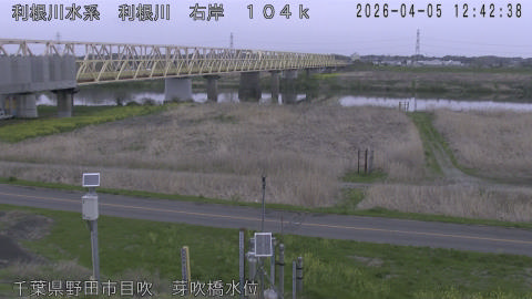 tonme2026040513_image