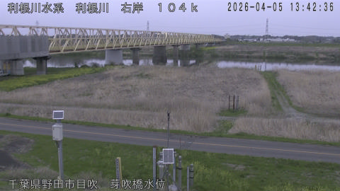 tonme2026040514_image