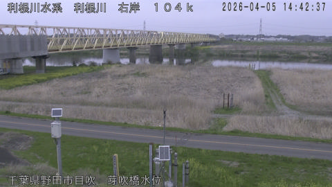 tonme2026040515_image