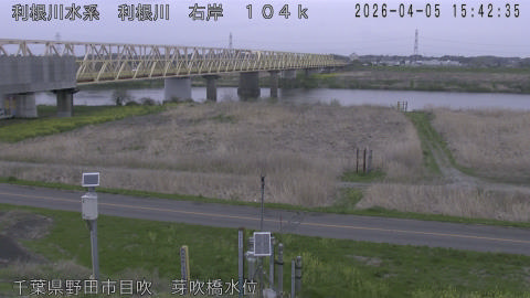 tonme2026040516_image