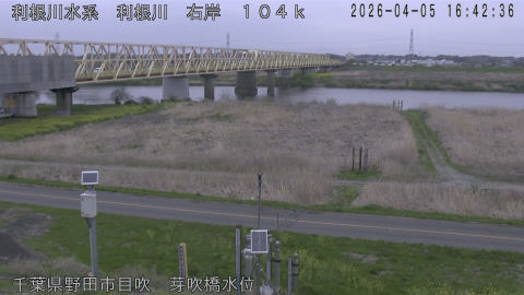 tonme2026040517_image