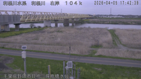 tonme2026040518_image