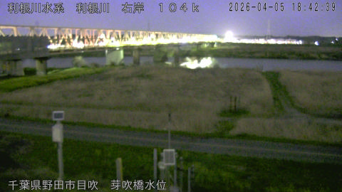 tonme2026040519_image