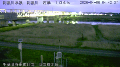 tonme2026040605_image