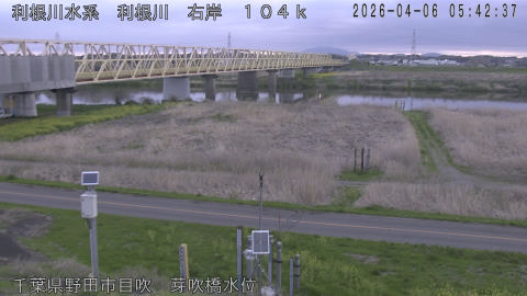 tonme2026040606_image