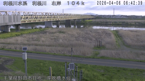 tonme2026040607_image