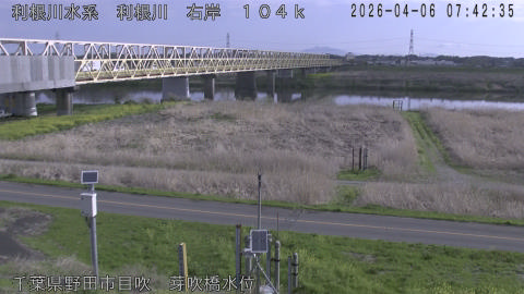 tonme2026040608_image