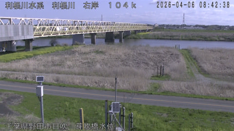 tonme2026040609_image