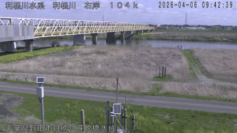 tonme2026040610_image