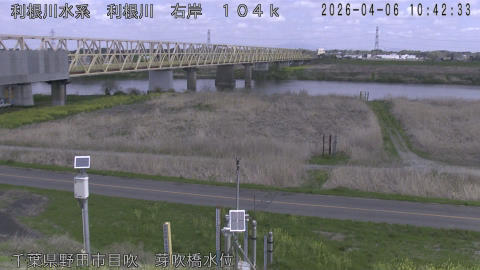 tonme2026040611_image